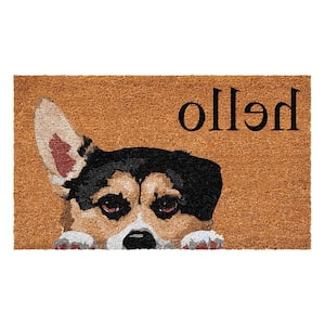 Multi-Colored 29 in. x 17 in. Coir Non-Slip Indoor/Outdoor Door Mat