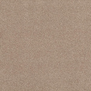 Urban Artifact II - Adobe - Brown 60.9 oz. Nylon Texture Installed Carpet