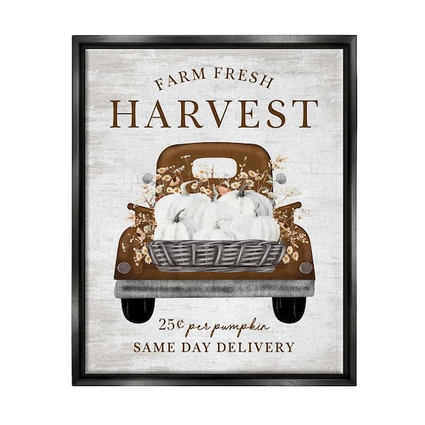 Stupell Industries Farm Pumpkin Harvest by Lettered and Lined 1-Piece Floater Frame Graphic Print Travel Poster Art Print 31 in. x 25 in.