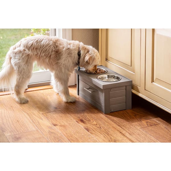 9 Best Elevated Dog Bowls for Pets with Mobility Problems