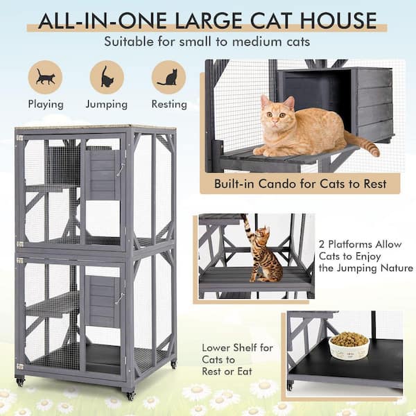 kitten enclosures