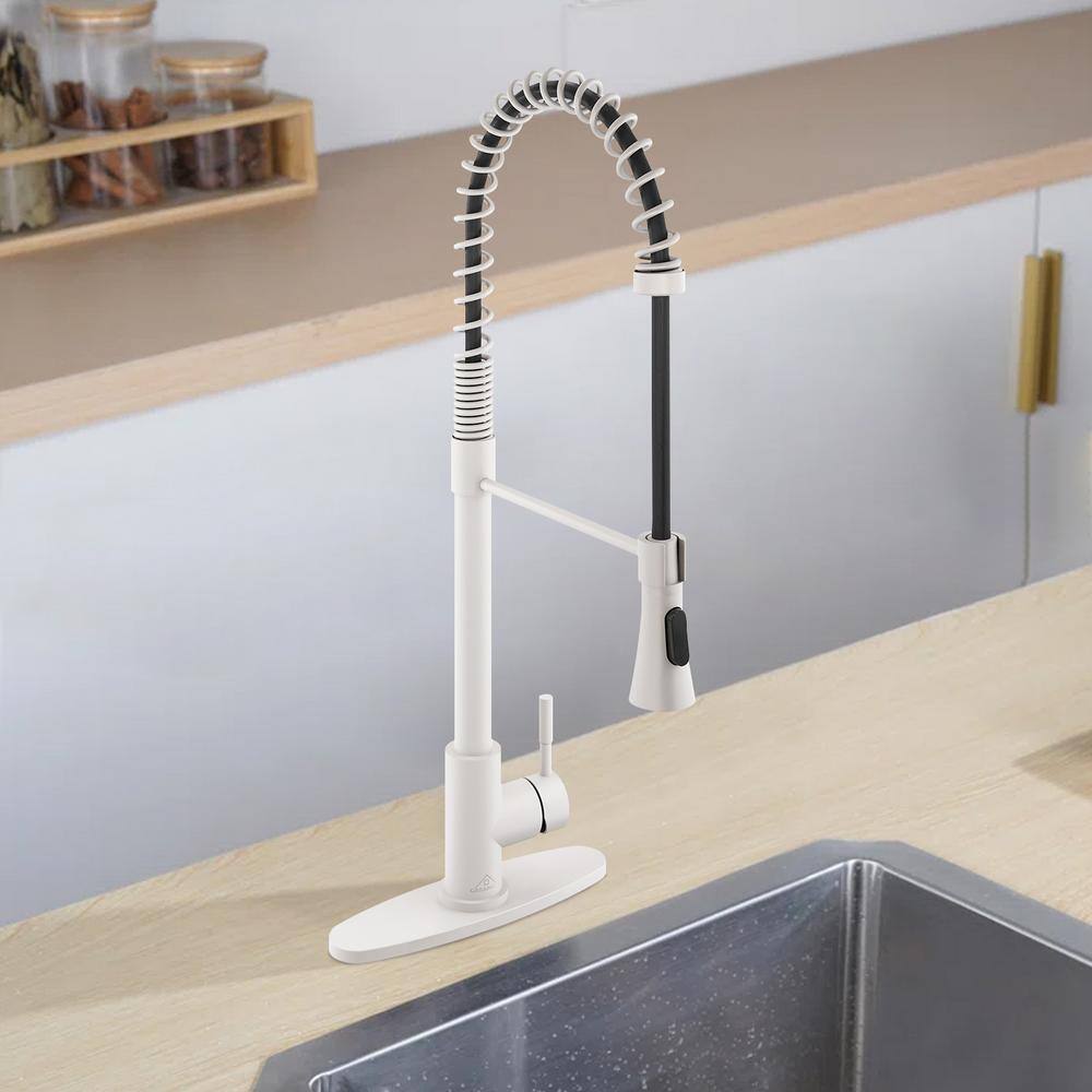 Matte White Single Handle Pull Down Kitchen Faucet