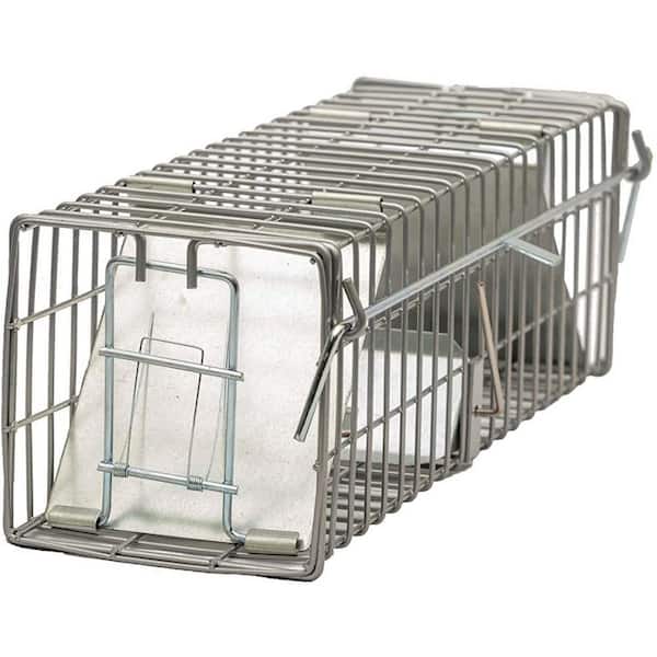 X-Large One Door Catch Release Heavy-Duty Humane Cage Live Animal Traps for  Large Dogs and Other Same Sized Animals