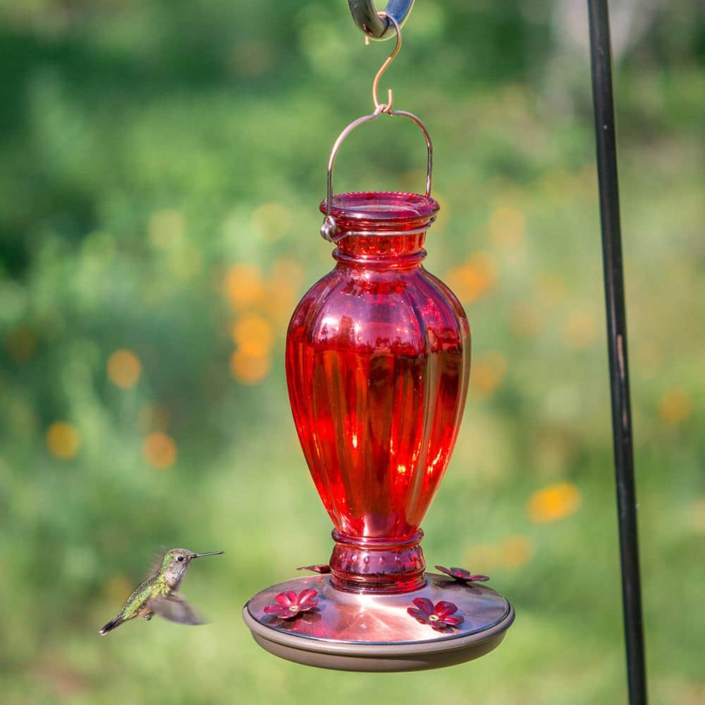 Red Daisy Glass Hummingbird Feeder with Copper Base, 18oz