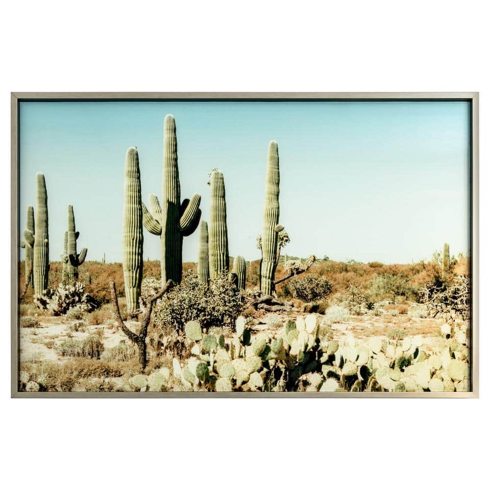 Saguaro Sunset Easy Paint by Numbers Kit for Adults Free Shipping From  California, USA 
