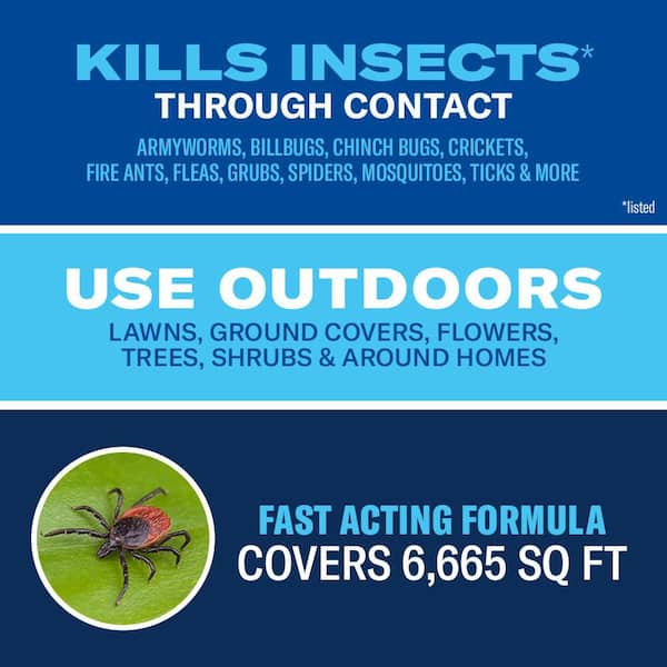 32 oz. Complete Brand Insect Killer for Soil and Turf, Ready-to-Spray
