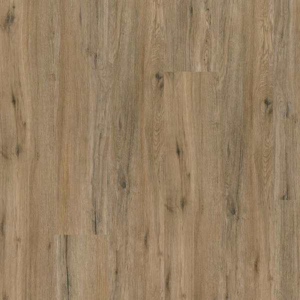MSI Benson American Ash 22 MIL x 9 in. W x 48 in. L Click