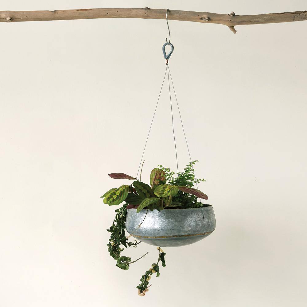 Round Galvanized Metal Hanging Planter with Gold Accents