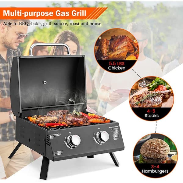 Alpulon 2-Burner Portable Propane GAS Table Top Grill in Black