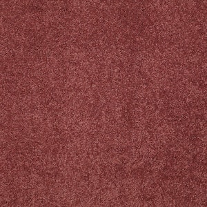 Coral Reef I - Berry Rich - Red 65.5 oz. Nylon Texture Installed Carpet