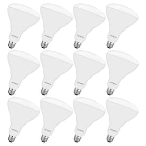 85-Watt Equivalent BR40 LED Light Bulb 5000K Bright White 1100 Lumens 13-W Dimmable Damp Rated UL Listed E26 12-Pack