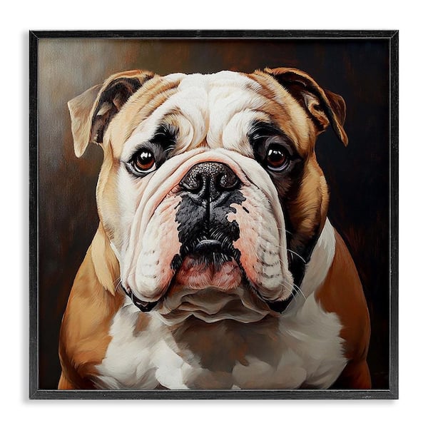 Stupell Industries Stoic Bulldog Portrait by Tom Crehan Black Framed Animal Giclee Art Print 24 in. x 24 in.