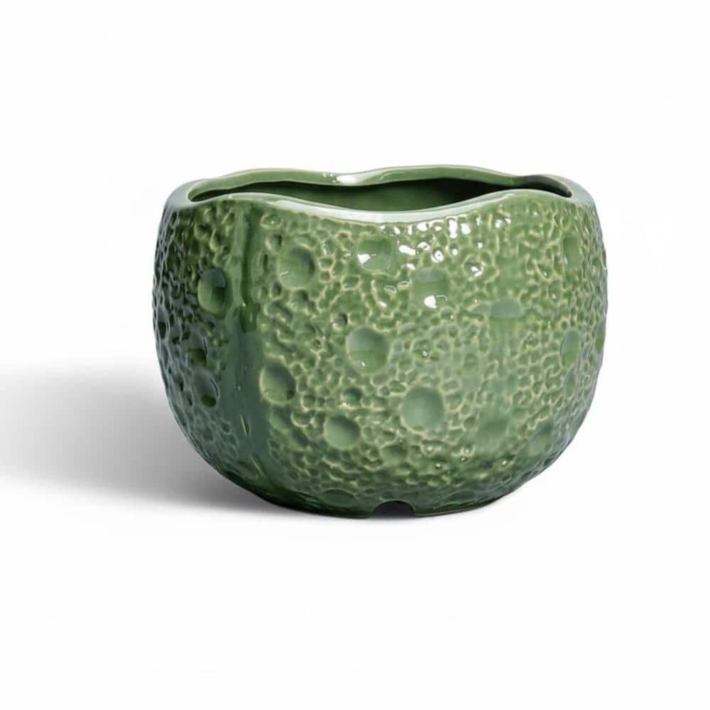 "Green Round Orchid Planter 6"" - Indoor Outdoor Living Room Decor" price history on PriceWatchPro