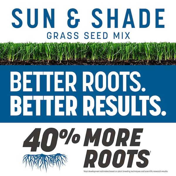 Rebels 3 lbs. 1000 sq. ft. Sun and Shade Grass Seed Blend