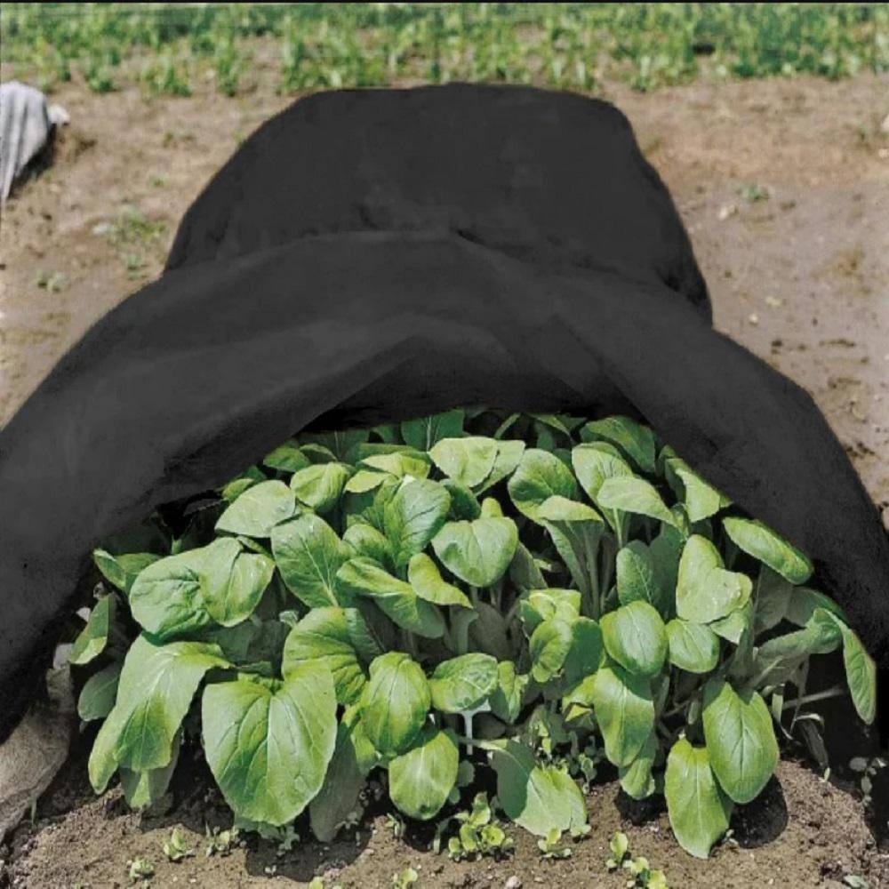 Agfabric 10 ft. x 25 ft. 0.9 oz. Floating Row Cover Garden Fabric Plant