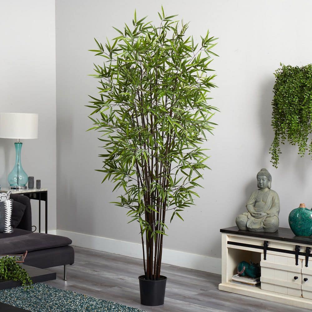 6.5 ft Black Bamboo Silk Tree in Plastic Pot
