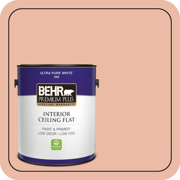1 gal. #M200-3 Sunset Drive Ceiling Flat Interior Paint & Primer