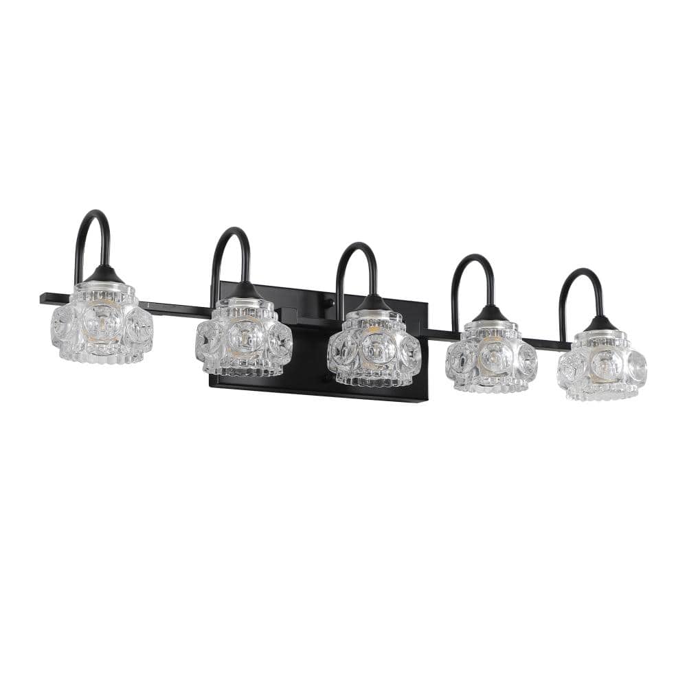 5-Light Black Vanity Light with Novelty Flower Crystal Clear Glass Shades and Iron Frame, E26 Bulbs Not Included price history on PriceWatchPro