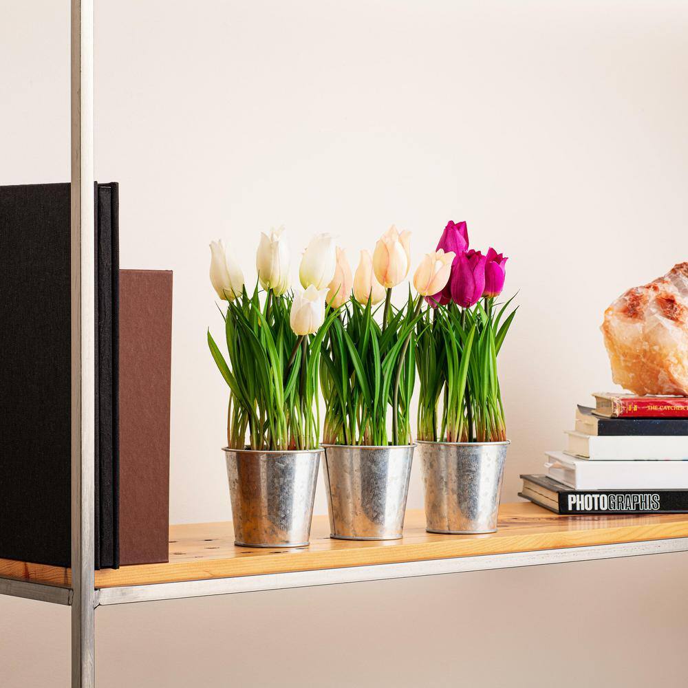 10.5" Assorted Artificial Tulips in Metal Pots Set
