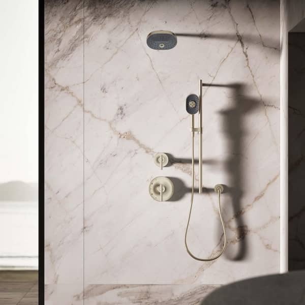 KOHLER Statement Oblong 3-Spray Patterns Wall Mount Handheld