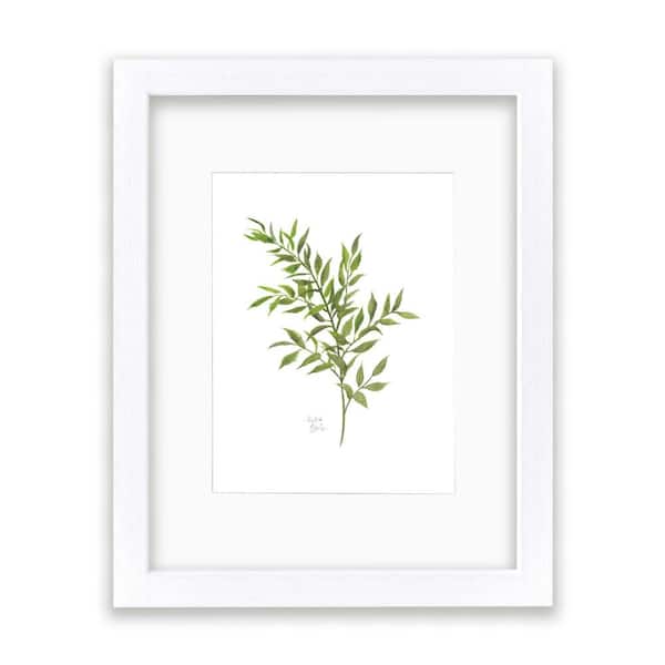 Unbranded Nature's Lace 1 "Italian Ruscus" by Alyssa Lewis Individual White Framed with Mat Nature Art Print 24 in. x 18 in.