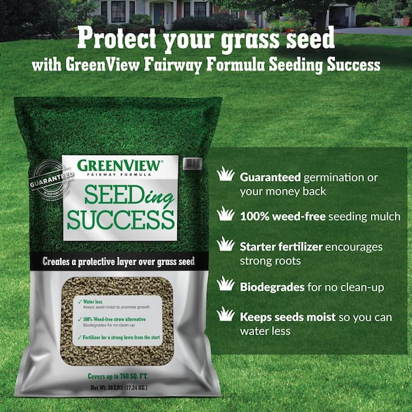 GreenView 20 lbs. Fairway Formula Grass Seed Perennial Ryegrass 