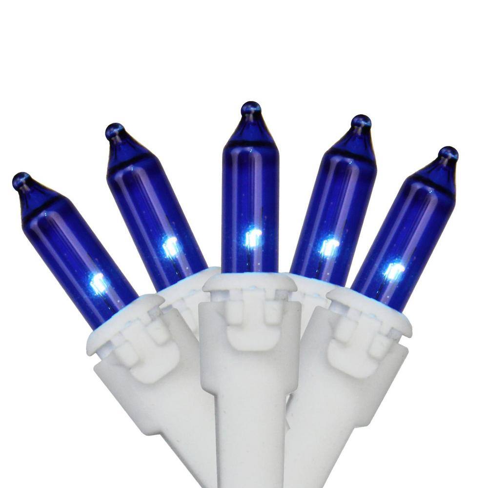 Northlight Set of 100 Blue Mini Christmas String Lights 2.5 in. Spacing with White Wire