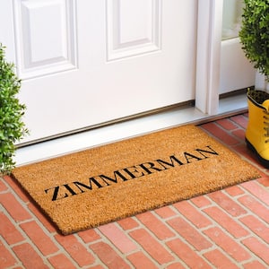 Bold Zimmerman Multi-Colored 24 in. x 36 in. Indoor or Outdoor Doormat