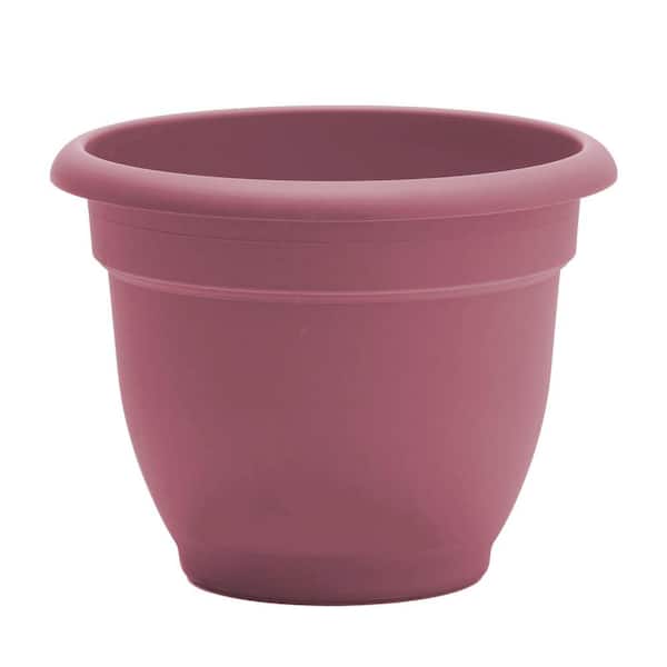 Ariana 13 in. L x 13 in. W x 10.25 in. H 12 qts. Dusty Rose Indoor/Outdoor Plastic Self-Watering Decorative Pot