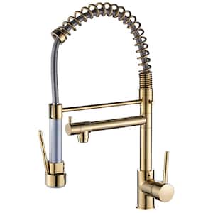 Contemporary Single-Handle Gooseneck Pull-Down Sprayer Kitchen Faucet in Brushed Gold