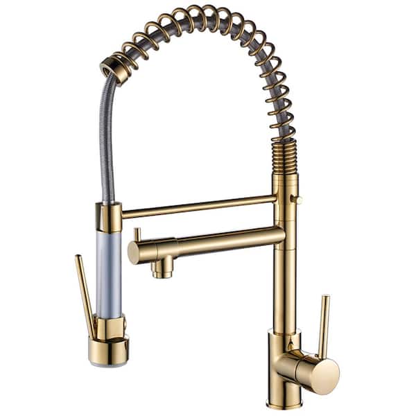 Boyel Living Contemporary Single-Handle Gooseneck Pull-Down Sprayer Kitchen Faucet in Brushed Gold
