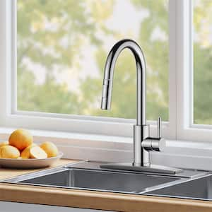 Single Handle Pull Down Sprayer Kitchen Faucet with Removable Deck Plate Swivel Spout in Chrome