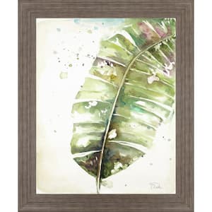 "Watercolor Plantain Leaves Il" By Patricia Pinto Framed Print Nature Wall Art 28 in. x 34 in.