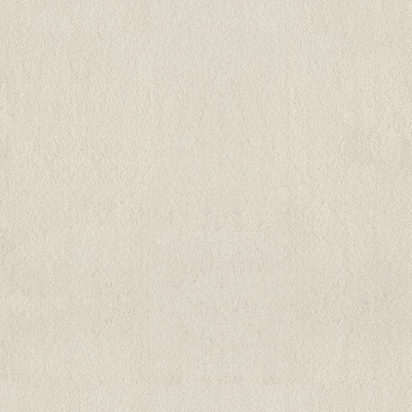 Dreamy Daze II Wren Beige 66 oz. Nylon Texture Installed Carpet