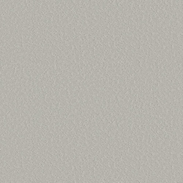 Lifeproof Wingate - Color Tender Tint - 33 oz SD Polyester Pattern Beige Installed Carpet