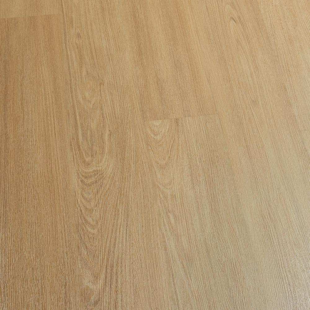 Take Home Sample - French Oak Jacksonville Loose Lay Waterproof Luxury Vinyl Plank Flooring price history on PriceWatchPro