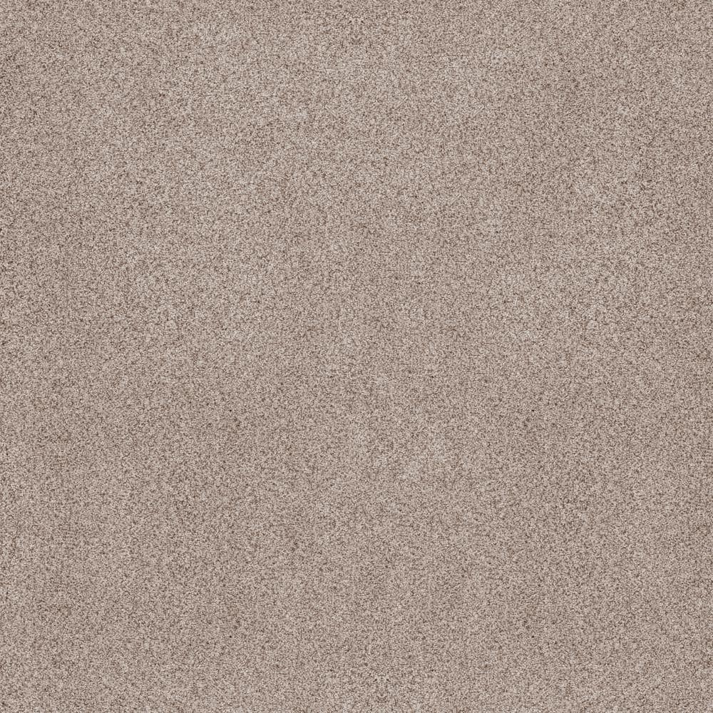 8 in. x 8 in. Texture Carpet Sample - Sand Dunes I - Color Quinn price history on PriceWatchPro