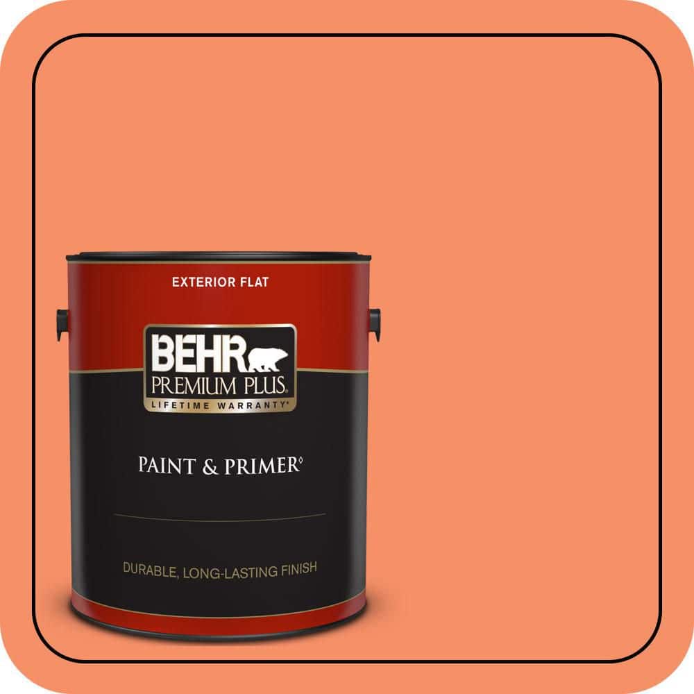 1 gal. #210B-5 Tangerine Dream Flat Exterior Paint & Primer price history on PriceWatchPro