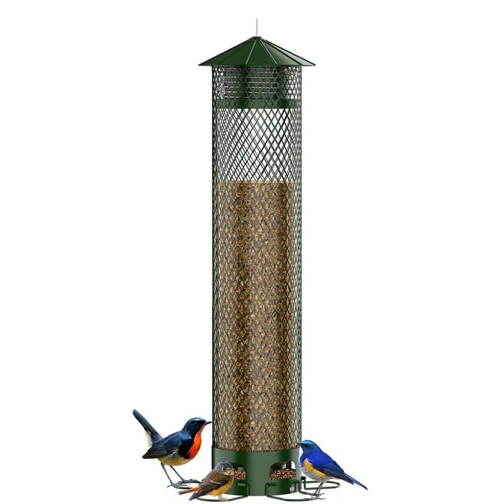 Green Metal Hanging Squirrel Resistant Seed Bird Feeder