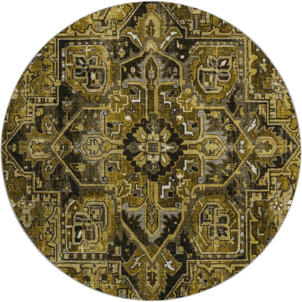 Dream Shag Premium Machine Washable Abstract ADS570 Brown 8 ft. x 8 ft. Round Rug price history on PriceWatchPro
