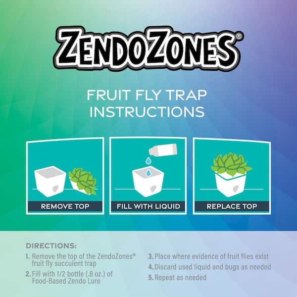 ZendoZones Fruit Fly Traps with Zendo Lure with plastic Terra