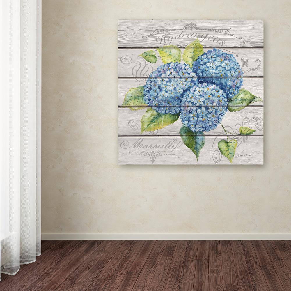 Jean Plout Blue Hydrangeas Canvas Art with Floater Frame