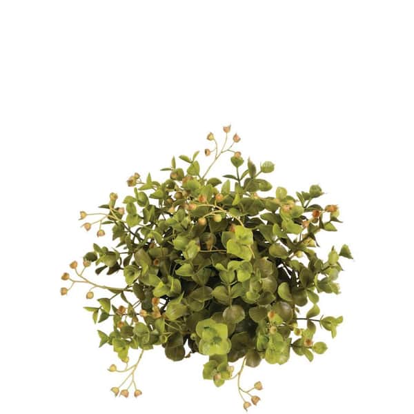 SULLIVANS 6" Artificial Green Eucalyptus Half Orb