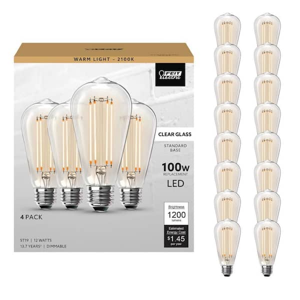 100-Watt Equivalent ST19 Dimmable Straight Filament Clear Glass E26 Vintage Edison LED Light Bulb, Warm White (16-Pack)