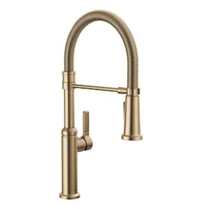 Rhett Pro Gold Single Handle Pull Down Sprayer Kitchen Faucet with Spring Spout in Champagne Bronze