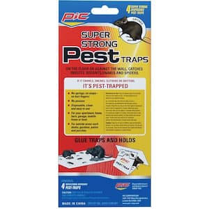 4 Glue Pest Trap for Spiders and Snakes (3-Packs)
