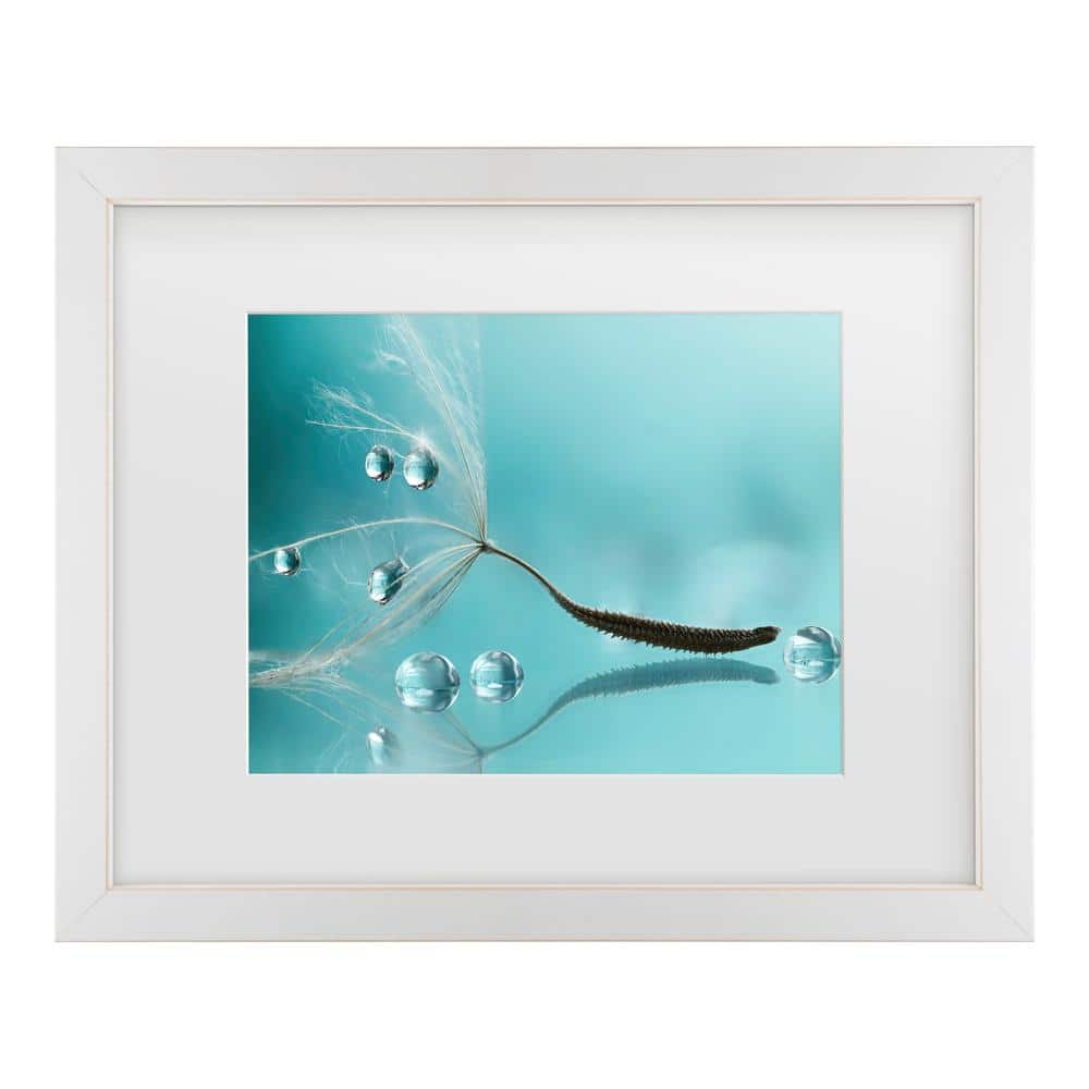Rina Barbieri Water Matted Framed Photography Wall Art 18 in. x 22 in price history on PriceWatchPro
