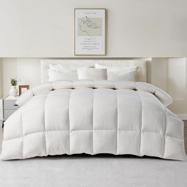 JEAREY Queen All-season Down Alternative Comforter/Duvet