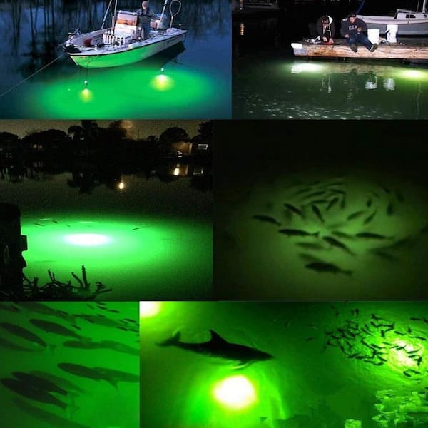 12-Volt Waterproof LED Fishing Light in Green Lamp