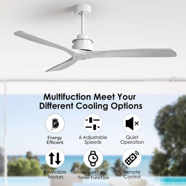 Sofucor 60 in. Indoor/Outdoor Silver Ceiling Fan with 6-Speed Long